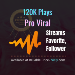 Audiomack Plays Pro Viral- Niciy.com